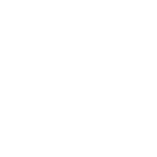 Customized-Strategies