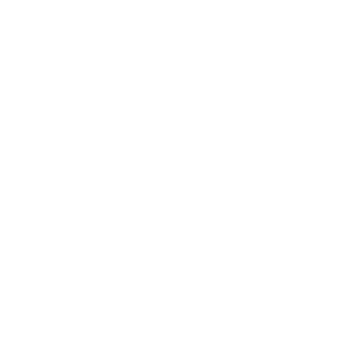 Holistic-Approach